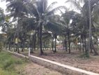 පාදෙණිය අනුරාධපුර පාරෙන් ඉඩමක් විකිණීමට