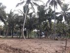පාදෙණිය මහව ප්රධාන පාරෙන් ඉඩමක් විකිණීමට