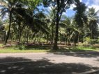 පාදෙණිය නේවාසික බිම් කොටස් විකිණීමට