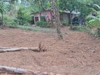 පාදුක්ක මීරියගල්ලෙන් ඉඩමක් විකිණිමට