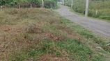 පානදුර අගනා නේවාසික ඉඩම් කැබලි 3ක් විකිණීමට