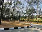 පානදුර මාලමුල්ල හන්දියෙන් වටිනා ඉඩමක්