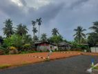 පානදුර වලාන නිදහසෙ ජිවත් වෙන්න ඉඩමක් N38