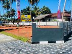 පානදුර වලාන ප්‍රදේශයේ අගනා ඉඩම් විකිණීමට| Y31