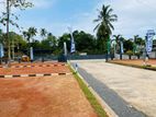 පානදුරට හා වාද්දුවට මැදිව ගාලු පාරට ලගින්ම තල්පිටියෙන් බිමි කොටස් H37