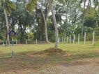 පානදුරට සහ ගොරකාන නගර වලට මැදිව හොඳම බිම්කොටස් කිහිපයක්