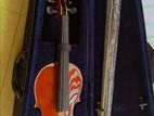 Violin