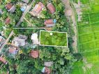 Paddy Facing Land for Sale in Batuwatta - Jaela