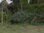 Paddy Feild Facing Land for Sale - Waligama