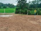 Paddy Field and Mainroad Facing Best Residential Land Plots in Padukka