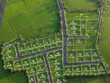 Paddy Field Face Land for Sale in Padeniya, Kurunagala M06