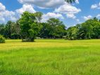 Paddy Field Face Land in Padeniya, Wariyapola - H07