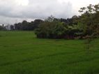 Paddy Field Facing 15.00 perch land for sale .