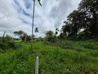 Paddy Field Facing 53.5 P Residential Bare Land for Sale Udawatta