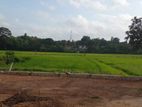 Paddy Field Facing 7.50 Perch Land for Sale