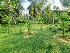 Paddy Field Facing Bare Land for Sale in Homagama