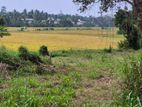 Paddy Field Facing Bare Land for Sale Malabe