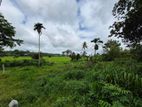 Paddy Field Facing Bare Land for Sale Udawatta