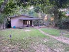 Paddy Field Facing House for Sale in Matara