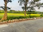 Paddy Field Facing Land for Sale Battaramulla DS3447