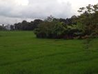 Paddy field facing land for sale Battaramulla