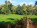Paddy Field Facing Land for Sale Delgoda Town
