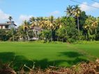 paddy field facing land for sale delgoda town .