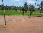 paddy Field Facing land for sale .