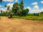 Paddy Field Facing Land for Sale in Anuradhapura , - H02