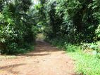 Paddy Field Facing Land for Sale in Nawagamuwa Road, Nittambuwa.