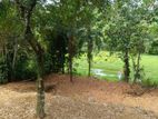 Paddy Field Facing Land for Sale Kalutara