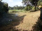 Paddy Field facing Land | For Sale Meepe - Reference L3348