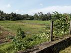 Paddy Field Facing Land for Sale Meepe - Reference L3348