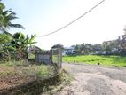 Paddy Field Facing | Land for Sale Talawathugoda