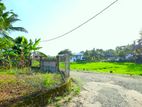 Paddy Field Facing | Land for Sale Talawathugoda