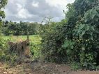 Paddy Field Facing Land in Athurugiriya