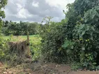 Paddy Field Facing Land in Athurugiriya