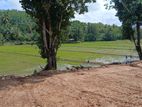 Paddy Field Facing Lot - Meegoda