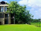 Paddy Field Facing Luxury Villa For Sale