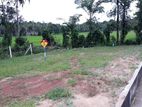 Paddy Field Facing Residential Land for Sale in Dewalapola, Gampaha.