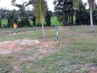 Paddy Field Facing Residential Land for Sale in Dewalapola, Gampaha.