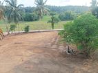 Paddy Field Facing Residential Land Plots