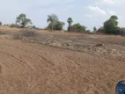 Land for Sale in Batticaloa