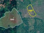 Paddy Field for Sale in Gokerella