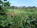 Paddy Field Land For Sale in Maharagama