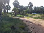 Paddy field land for Sale Kunjuparanthan