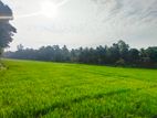 Paddy Field View Land for Sale Kadawatha