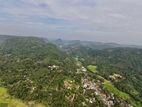 Paddy land for sale (3991) Gampaha district