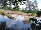 Paddy Land for Sale - Pelwatta