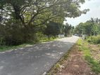 Paddy Land for Sale in Panadura